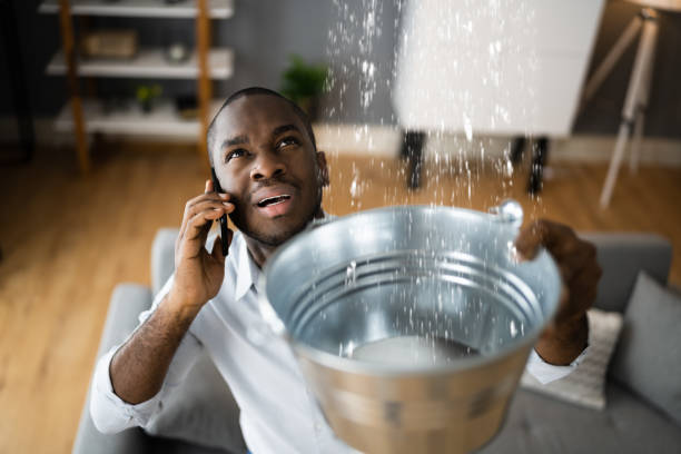 Best Water damage cleanup near me  in Esperance, WA