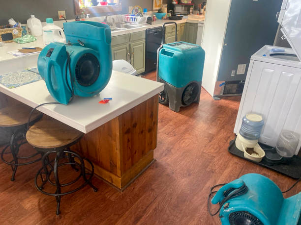 Best Water damage restoration cost  in Esperance, WA