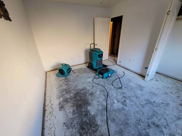 Best Flood damage cleanup  in Esperance, WA
