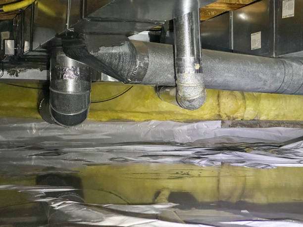 Best Residential water damage restoration  in Esperance, WA