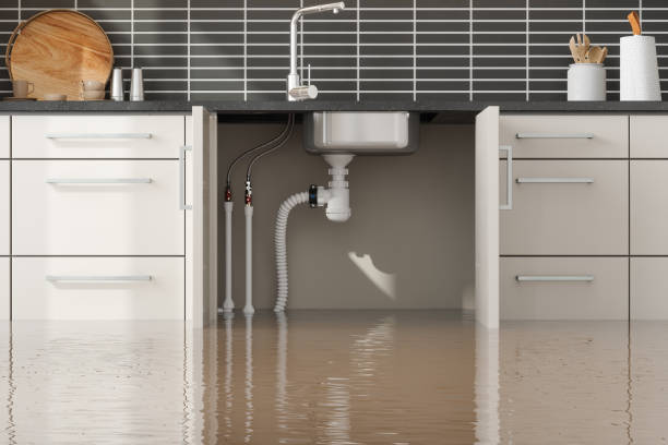 Local water damage restoration in WA