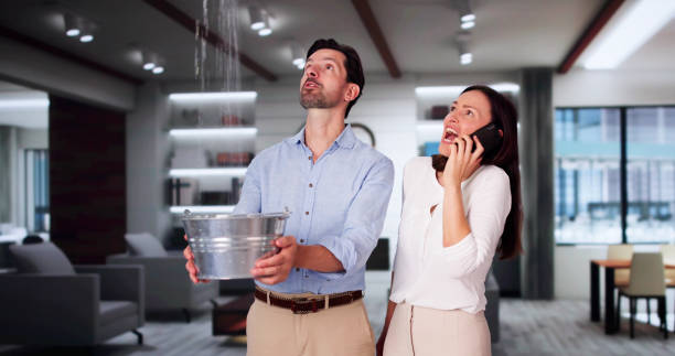 Best Basement water damage restoration  in Esperance, WA